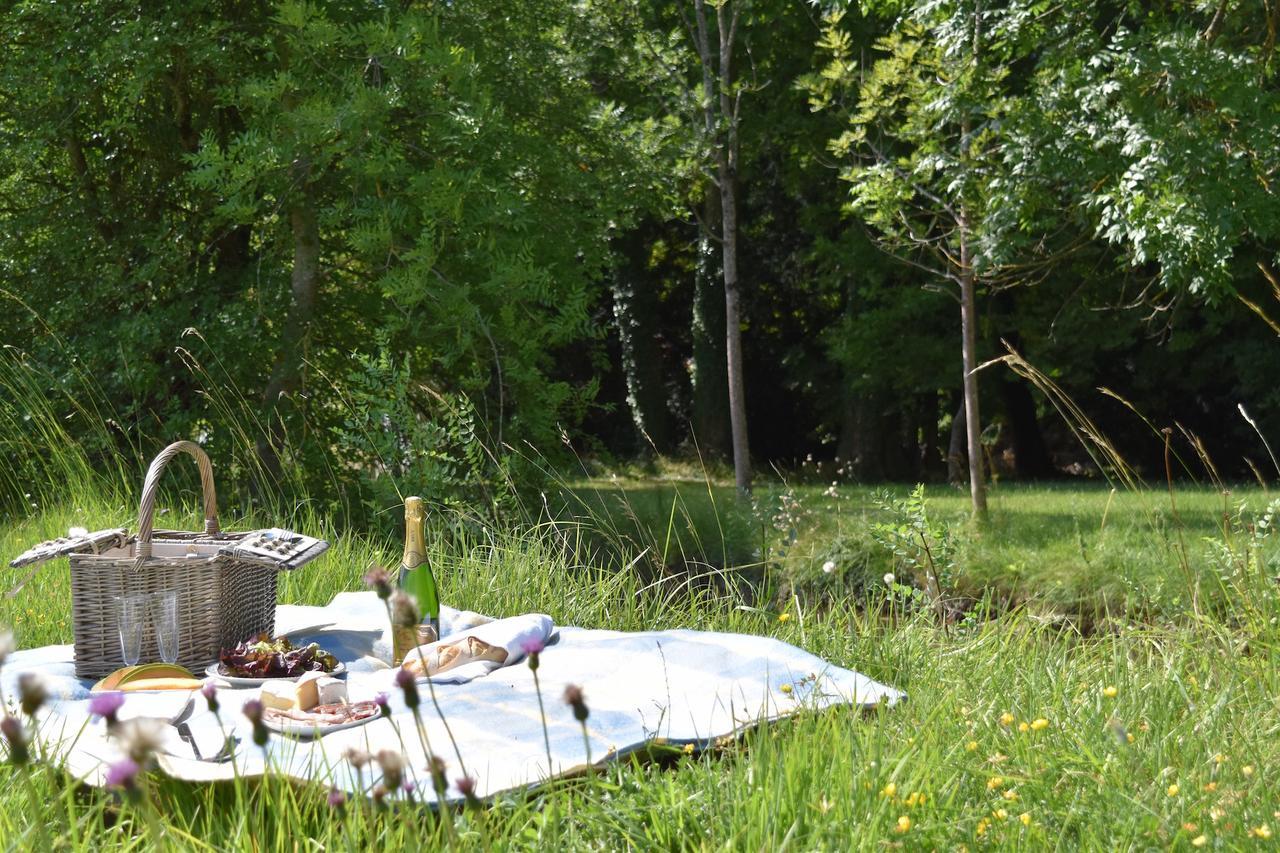Manoir De Plaisance Bed & Breakfast Benon Exterior photo